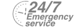 24/7 Emergency Service Pest Control in Crystal Palace, Upper Norwood, SE19. Call Now! 020 8166 9746